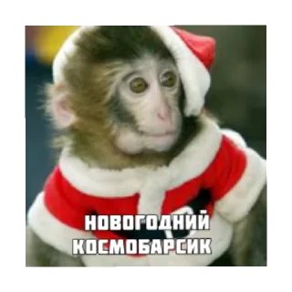 🎄 emoji Космобарсик монке Telegram sticker 5 of 22