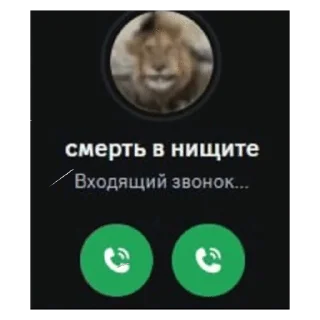🌟 викусик на связи, Telegram sticker 20 of 59