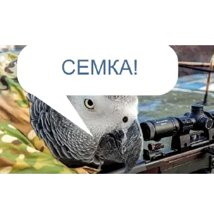 😍 emoji Попики | by @Popugasha_Arkasha Telegram sticker 2 of 20