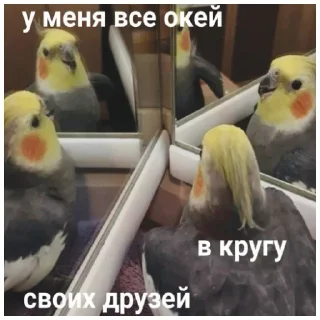 🤓 emoji Попики | by @Popugasha_Arkasha Telegram sticker 14 of 20