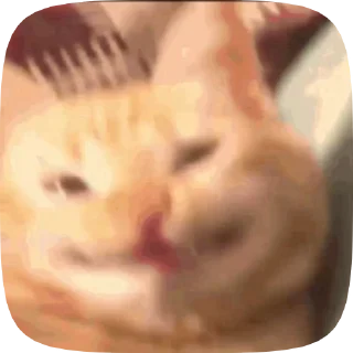 😺 emoji кітики Telegram sticker 19 of 46