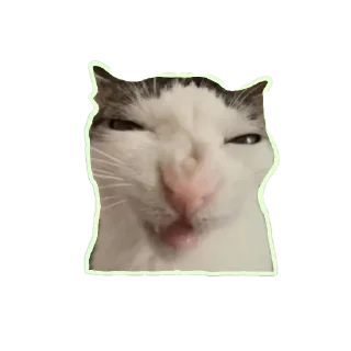 Sticker from Мемные пикчи @TgEmodziBot