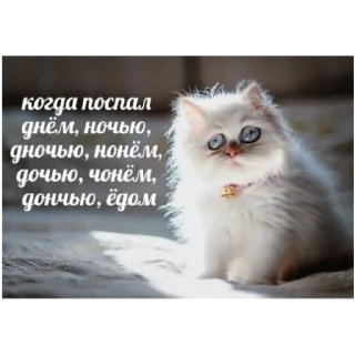 😴 emoji Мы Знаем Что Это Говно Telegram sticker 22 of 92