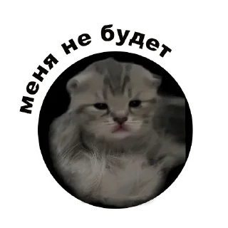 🙃 emoji Муркинский движ Telegram sticker 24 of 120