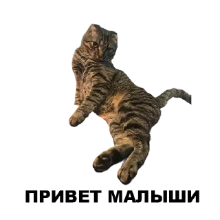 Sticker from Муркинский движ 2