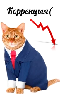 😕 emoji Кот инвестор Telegram sticker 6 of 12
