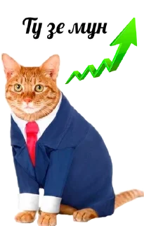 👍 emoji Кот инвестор Telegram sticker 5 of 12