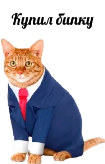 😅 emoji Кот инвестор Telegram sticker 1 of 12