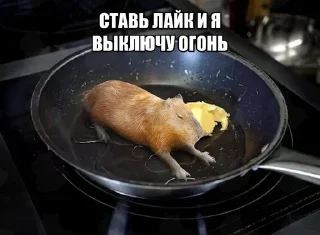Sticker from мілі капібари :: @mixtapper