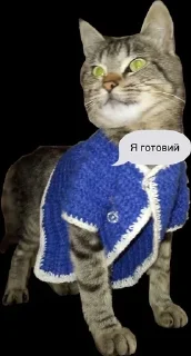 🌟 Стікерпак Соні, Telegram sticker 12 of 12