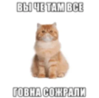 😊 emoji я про че (by dpdpdpxlls) Telegram sticker 11 of 98