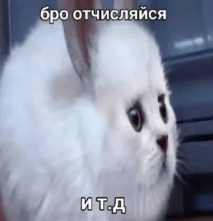 🙏 emoji я про че (by dpdpdpxlls) Telegram sticker 17 of 98