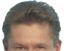 🐩 emoji Конструктор патриота Telegram sticker 13 of 46