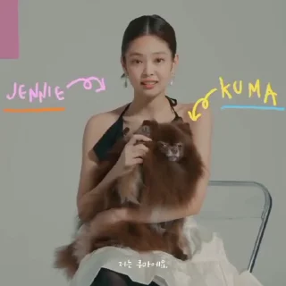 🩰 emoji ★‌ jennie ˚.﹆ by @impisya Telegram sticker 24 of 30