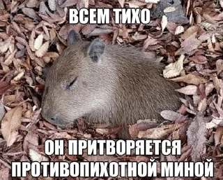 🌟 emoji Шизомемы @fStikBot Telegram sticker 4 of 75