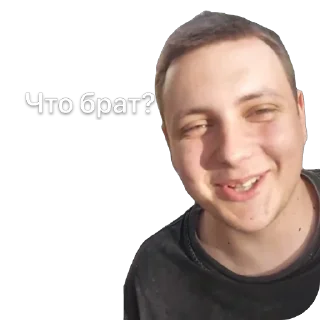 🫥 emoji Малиновка Telegram sticker 24 of 30