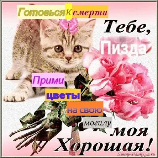 🌟 emoji что то на дружелюбном Telegram sticker 21 of 71