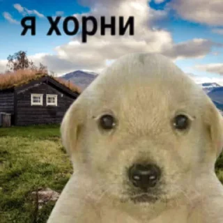 😟 emoji разум чист голова пуста / @jfusq Telegram sticker 7 of 63