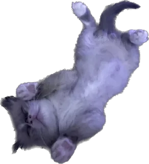 🫶 emoji Мистер Лео Telegram sticker 19 of 23