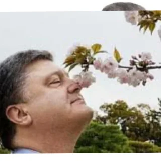 🌸 emoji Порошенко Telegram sticker 10 of 39