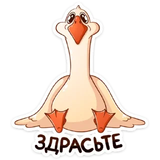 Sticker from Гусь Федька :: @stickroom