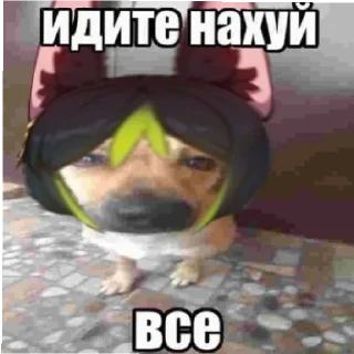🦊 emoji Нарик Telegram sticker 11 of 15