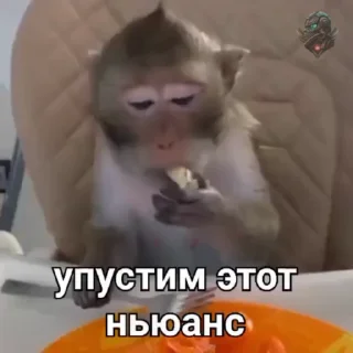 🐵 emoji Монке Пон @amgbio Telegram sticker 10 of 50