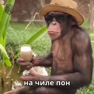 😈 emoji Монке Пон @amgbio Telegram sticker 19 of 50