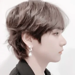 🍗 emoji 𖥻 taehyung : 🍗 : @lumicore_present Telegram sticker 21 of 40