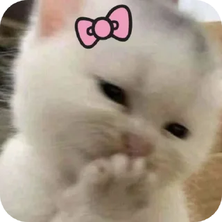 Sticker from Котья