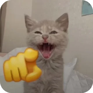 😁 Котья, Telegram sticker 18 of 34