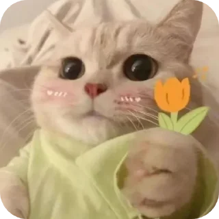 🐱 Котья, Telegram sticker 15 of 34