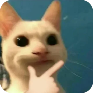🧐 Котья, Telegram sticker 7 of 34
