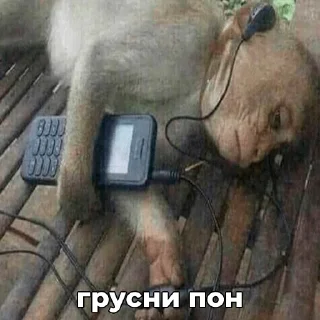 😞 emoji ПОНчики @eternl7 Telegram sticker 14 of 24