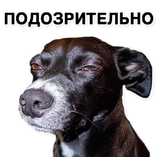 Sticker from BoreeWaysLeal
