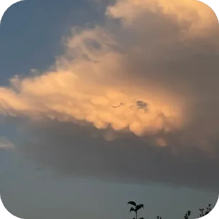 With love to the sky