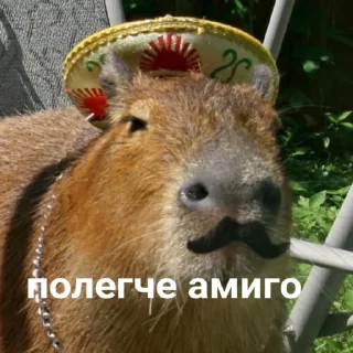 лубоф капибаренко