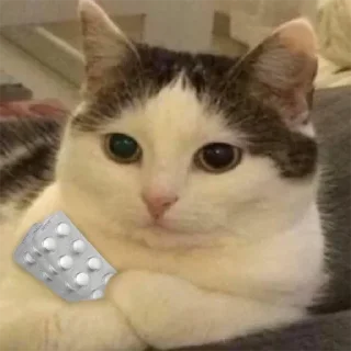 😼 Булка хлеба 👉 @TopStickerTop, Telegram sticker 11 of 87