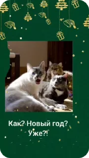 😮 C новым годом! @Cathouse_mrr, Telegram sticker 6 of 26