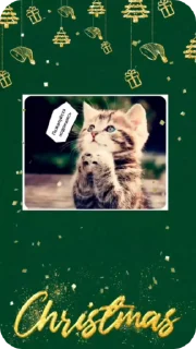C новым годом! @Cathouse_mrr