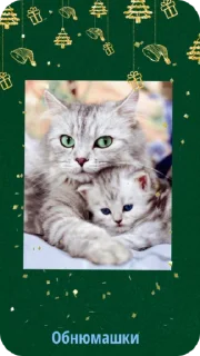 🫂 C новым годом! @Cathouse_mrr, Telegram sticker 8 of 26