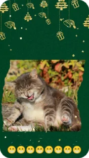 😁 C новым годом! @Cathouse_mrr, Telegram sticker 16 of 26