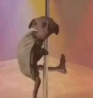 😏 🌟 Статический, стікер Telegram 8 з 37