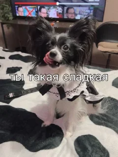 ❤️ под лирикой, стікер Telegram 20 з 39