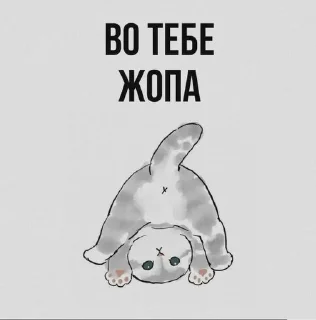 💗 мемы, Telegram sticker 13 of 33