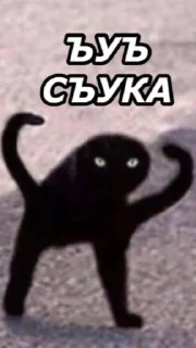 🤬 Moy stickerpack, стикер Telegram 14 из 17