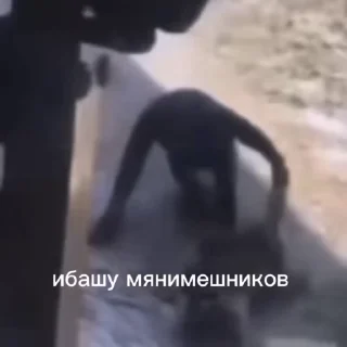 😒 Стикеры @stickrubot @textmeru_bot, стікер Telegram 13 з 36