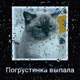 😞 ГОМАШЕЧНАЯ ВЫРЕЗКА, стикер Telegram 5 из 50