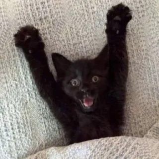 👅