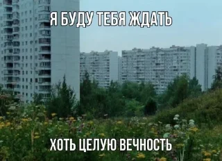 Цитатник